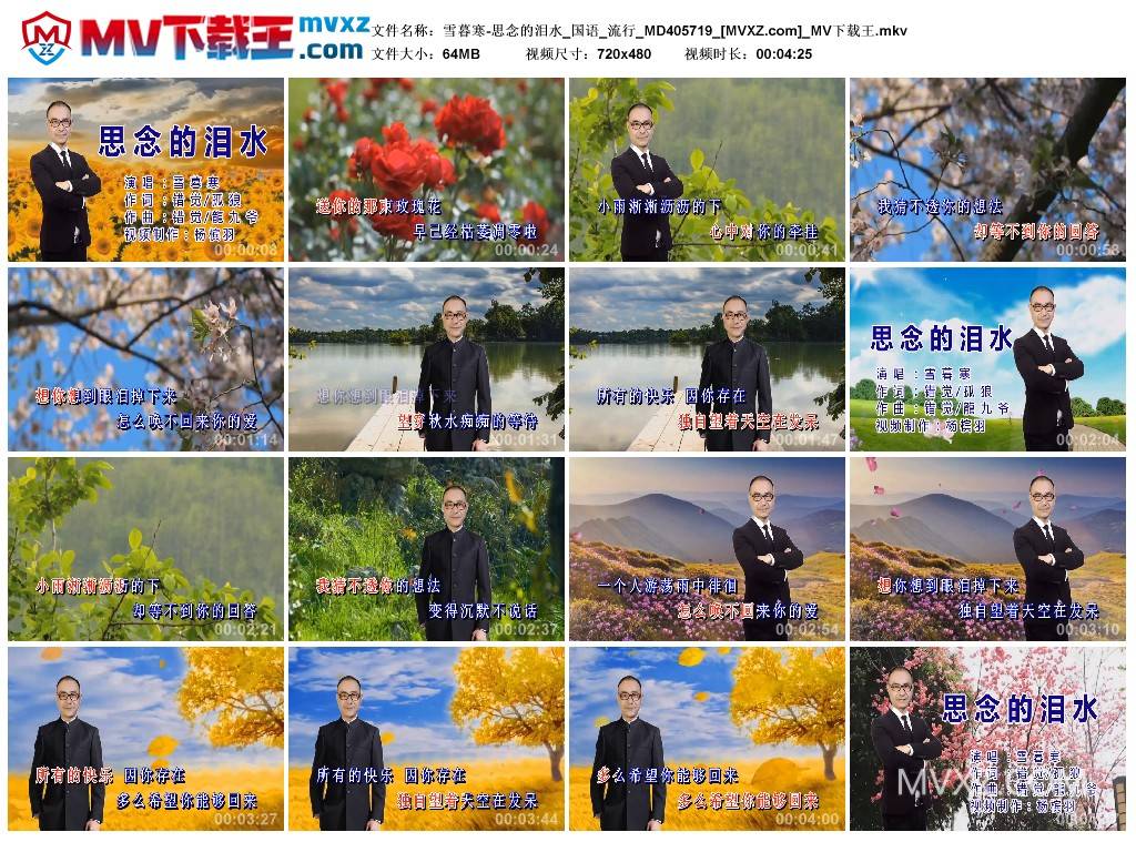 雪暮寒-思念的泪水_国语_流行_MD405719